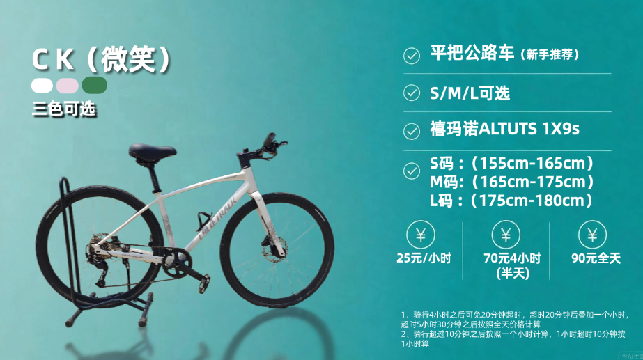 平把公路车